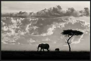 Juliste Silhouettes of Mara